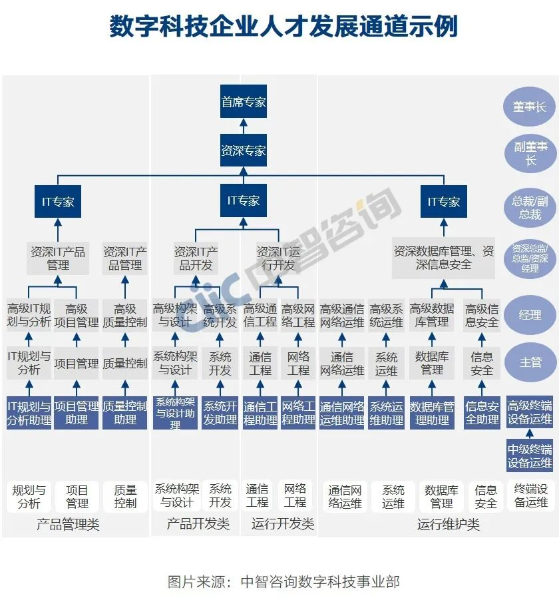 圖片2 數(shù)字科技