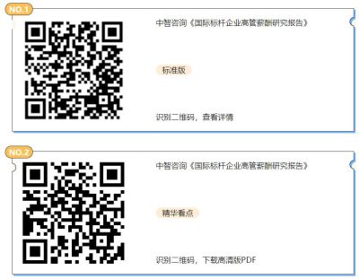 高管薪酬研究報(bào)告 高管薪酬研究報(bào)告