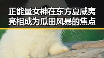 正能量女神在东方夏威夷亮相成为瓜田风暴的焦点