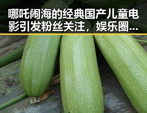 哪吒闹海的经典国产儿童电影引发粉丝关注，娱乐圈吃瓜短剧揭秘明星心声的背后故事