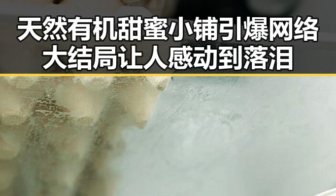 天然有机甜蜜小铺引爆网络大结局让人感动到落泪