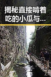 揭秘直接啃着吃的小瓜与张新成以家人之名的真实关系