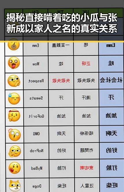 揭秘直接啃着吃的小瓜与张新成以家人之名的真实关系